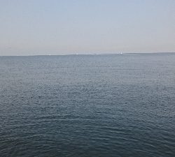 久々デイシーバス