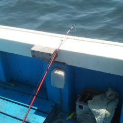 初めての船釣り