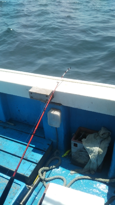 初めての船釣り