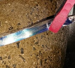 オールナイト釣行