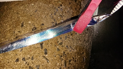 オールナイト釣行