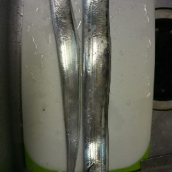 タチウオ貧果ながらリベンジ！