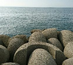 ボウズじゃないけど