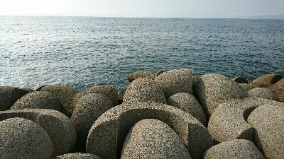 ボウズじゃないけど