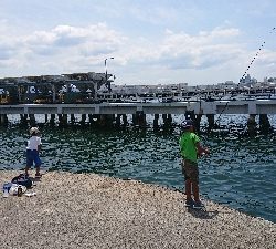 食品コンビナートで餌釣り