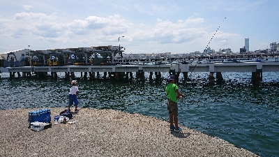 食品コンビナートで餌釣り