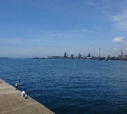 暑さにも負けず