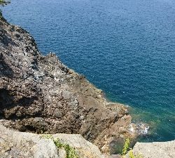 暑さにもまけず