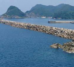 暑さにも負けず