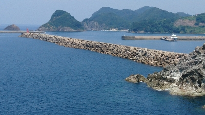 暑さにも負けず