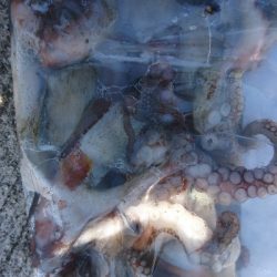 暑さにも負けず