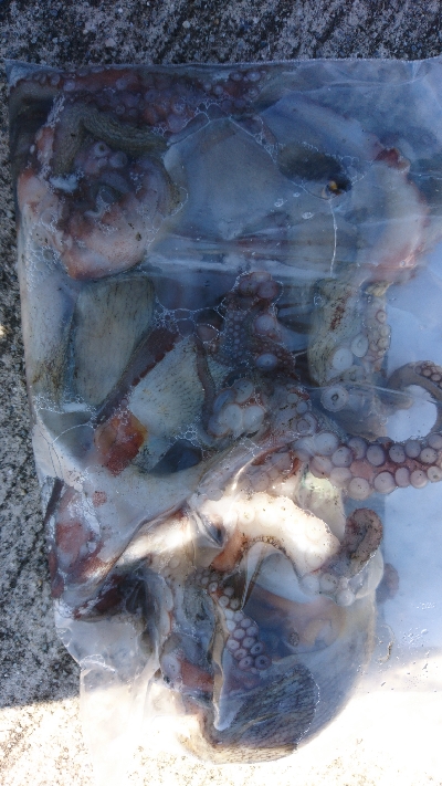 暑さにも負けず