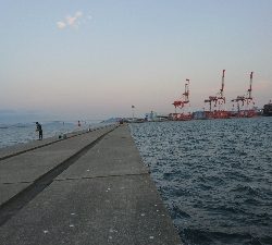 暑さにも負けず