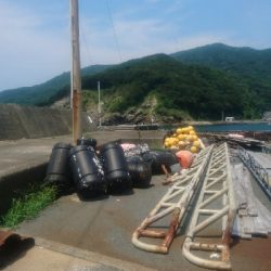 ライトショアジギング