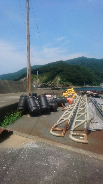 ライトショアジギング