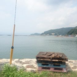 ライトショアジギング