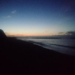 仁淀川河口周辺サーフライトショアジギング