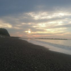 仁淀川河口周辺サーフライトショアジギング