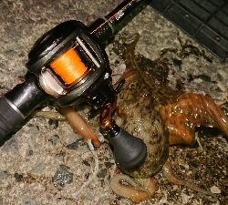 NEWリールに墨付け!