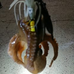 仲間と遠征も…