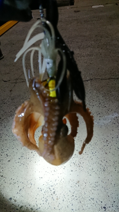 仲間と遠征も…