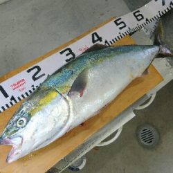 青物狙いでショアジギング！！