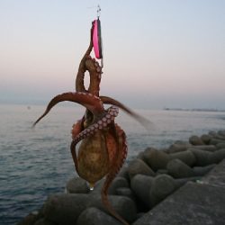 色んな釣りをして…