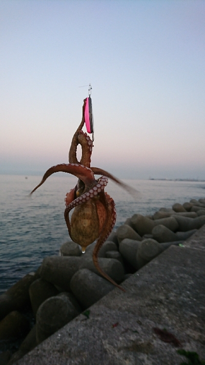 色んな釣りをして…