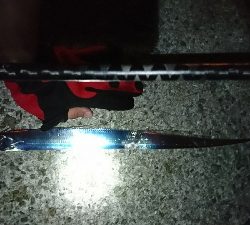 サバ&タチウオ 楽しめました♪