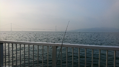 子供とサビキ釣り