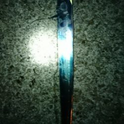 今日もタチウオ