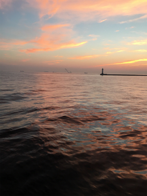 キスあきません。