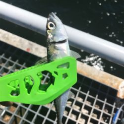 日中のライトゲーム