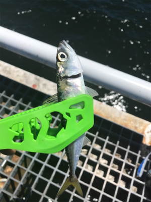 日中のライトゲーム