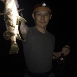 メバルゲーム☆