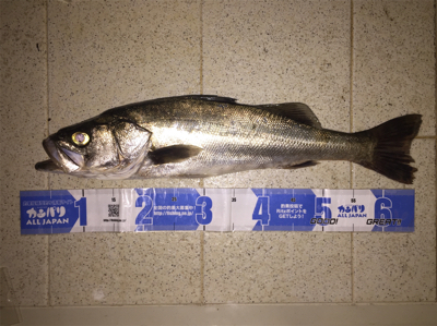 犀川水系ナイトゲーム