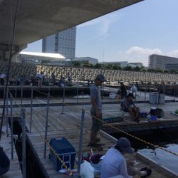 海上釣堀 田尻さんにて