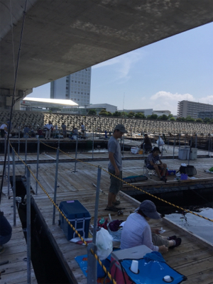 海上釣堀 田尻さんにて