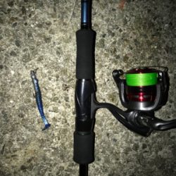 即席ワインドでサバ