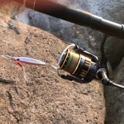 高知釣行 2日目 柏島