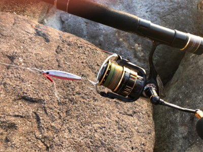 高知釣行 2日目 柏島