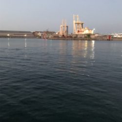 アジングでデート！