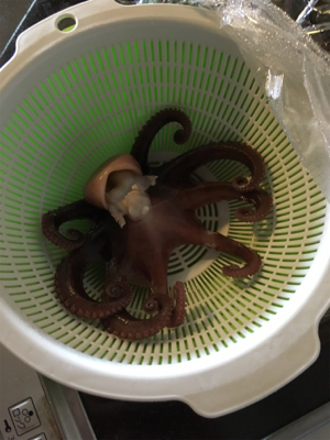 オクトパッシング