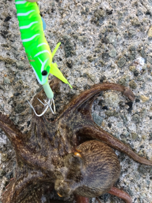 シェイクシェイクシェイク