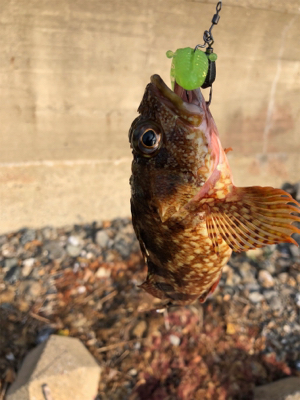 親父たちの釣行 第7弾