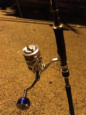 ナイトショアジギング