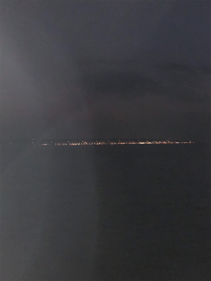 まだタチウオいない