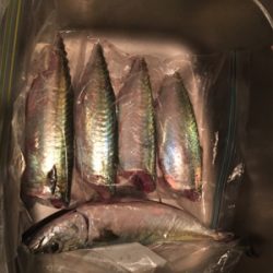 ようやくサバゲー成立