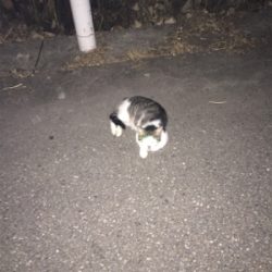 真夏の夜に魅せた！禁断のジャーク！