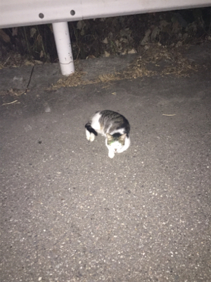 真夏の夜に魅せた！禁断のジャーク！